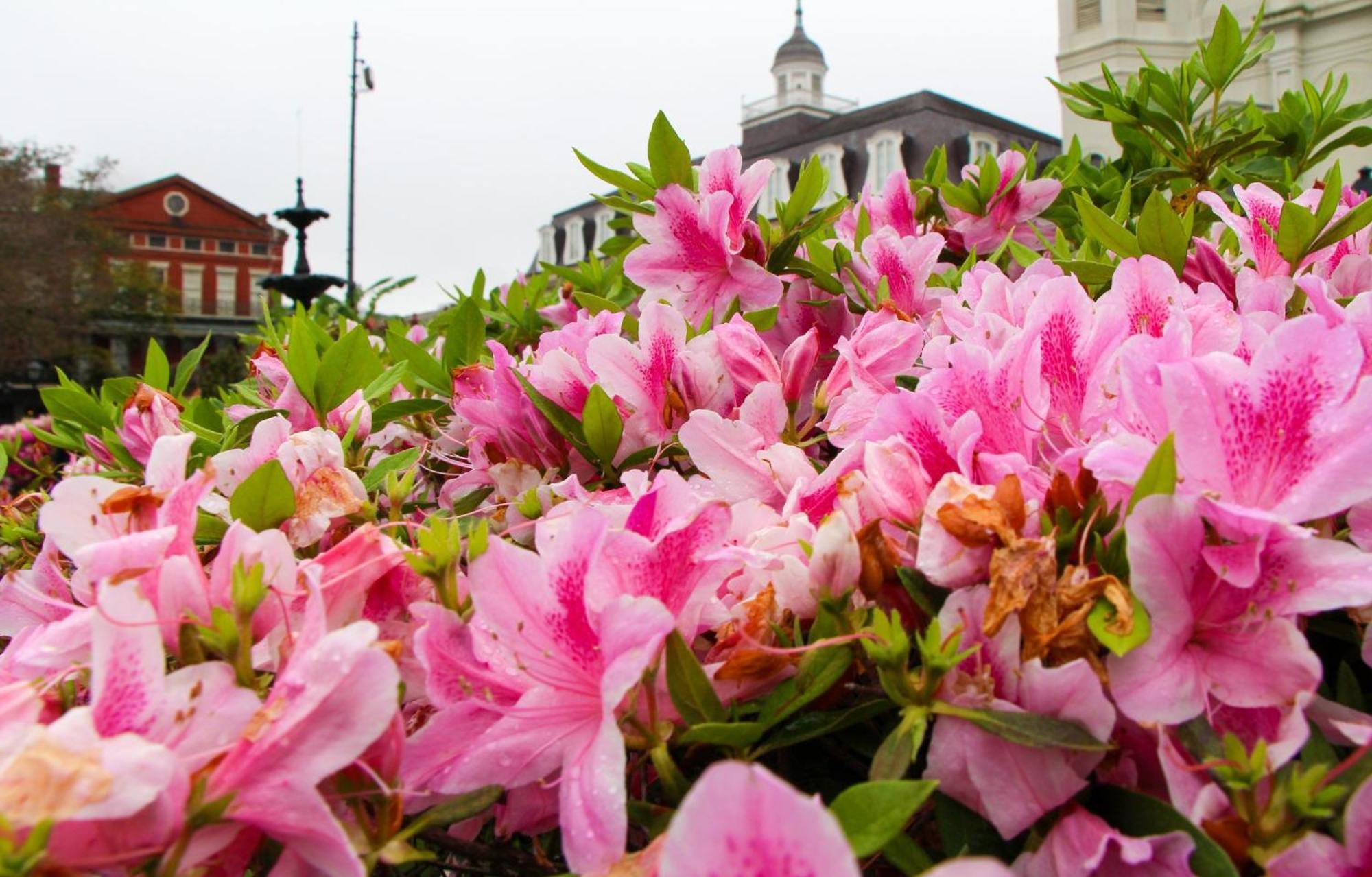Holiday Inn Express New Orleans - Arts District By Ihg Ngoại thất bức ảnh